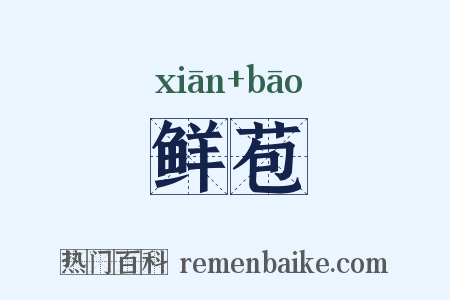 鲜苞是什么意思的图片